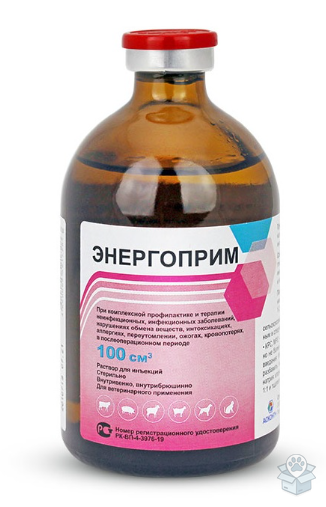 Асконт+: Энергоприм, раствор для инъекций, 100 мл