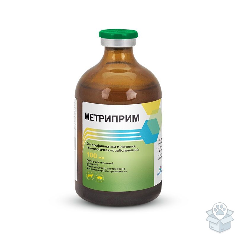 Асконт +: Метриприм, раствор для инъекций, пропранолол, 100 мл