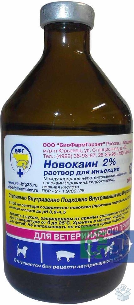 БиоФармГарант: Новокаин 2%, инъекционный раствор, 100 мл