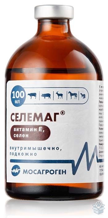 МосАгроГен: Селемаг, раствор для инъекций, 100 мл
