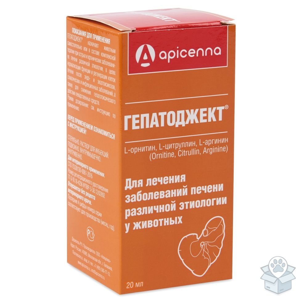 Апи-Сан: Гепатоджект, раствор для инъекций, 20 мл