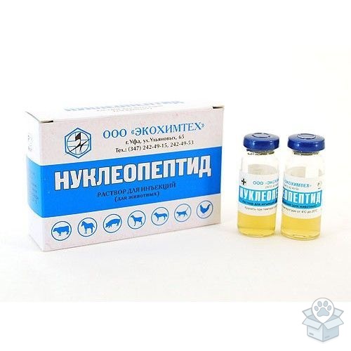 Экохимтех: Нуклеопептид, раствор для инъекций, 5 мл