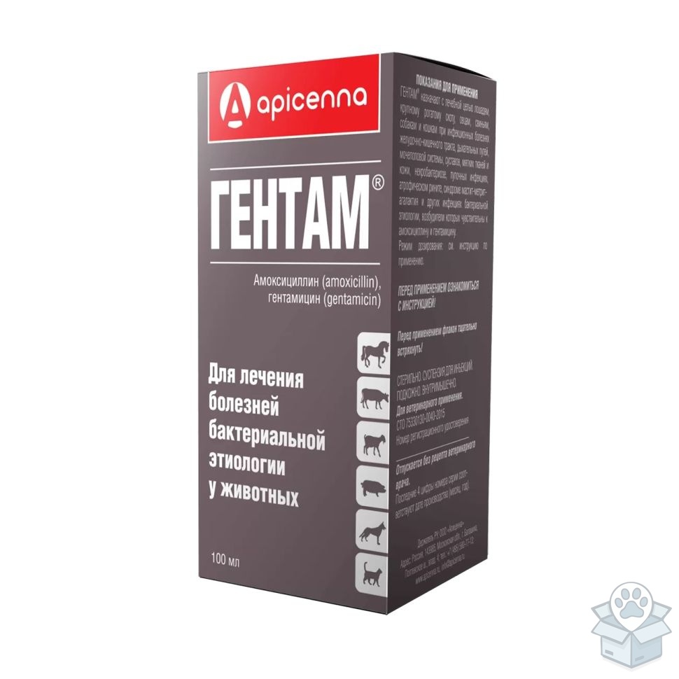 Apicenna: Гентам, суспензия для инъекций, 100 мл