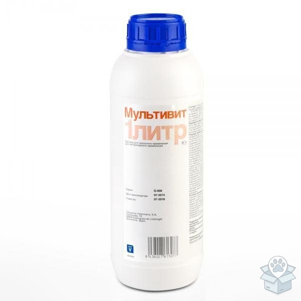 Invesa: Мультивит, оральный витаминный раствор, 1 л