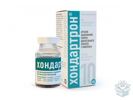 Хелвет: Хондартрон, раствор для инъекций, 10 мл