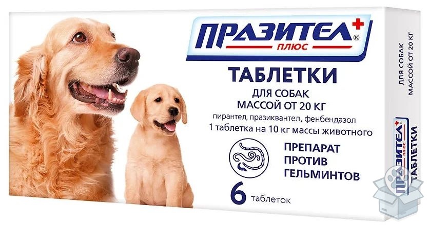 Празител плюс, для собак и щенков средних и крупных пород, 6 табл./уп