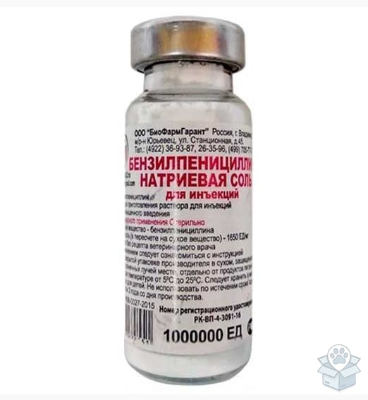 БиоФармГарант: Бензилпенициллина натриевая соль, для инъекций, 1 млн. ЕД