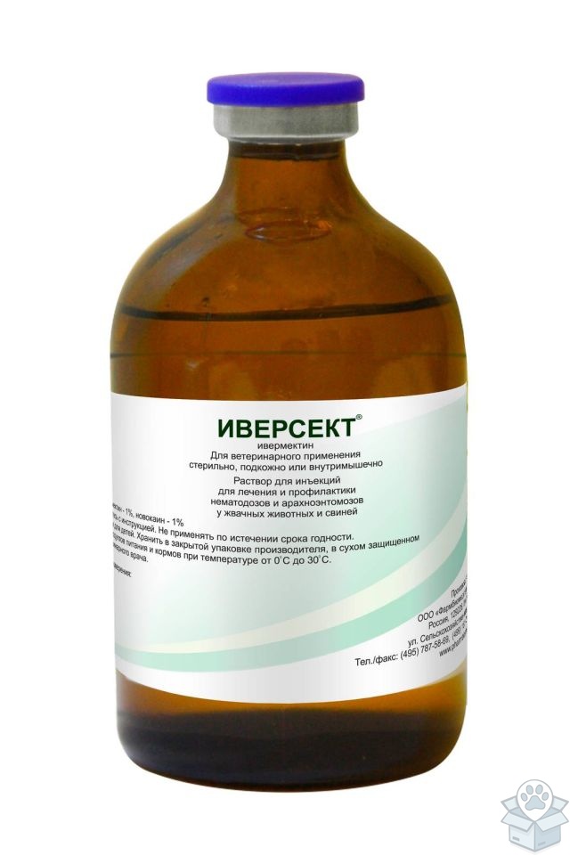 Иверсект для жвачных животных, 100 мл