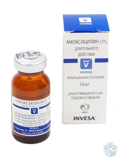 Invesa: Амоксициллин 15%, раствор для инъекций, 10 мл