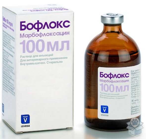 Invesa: Бофлокс, для КРС, свиней, 100 мл