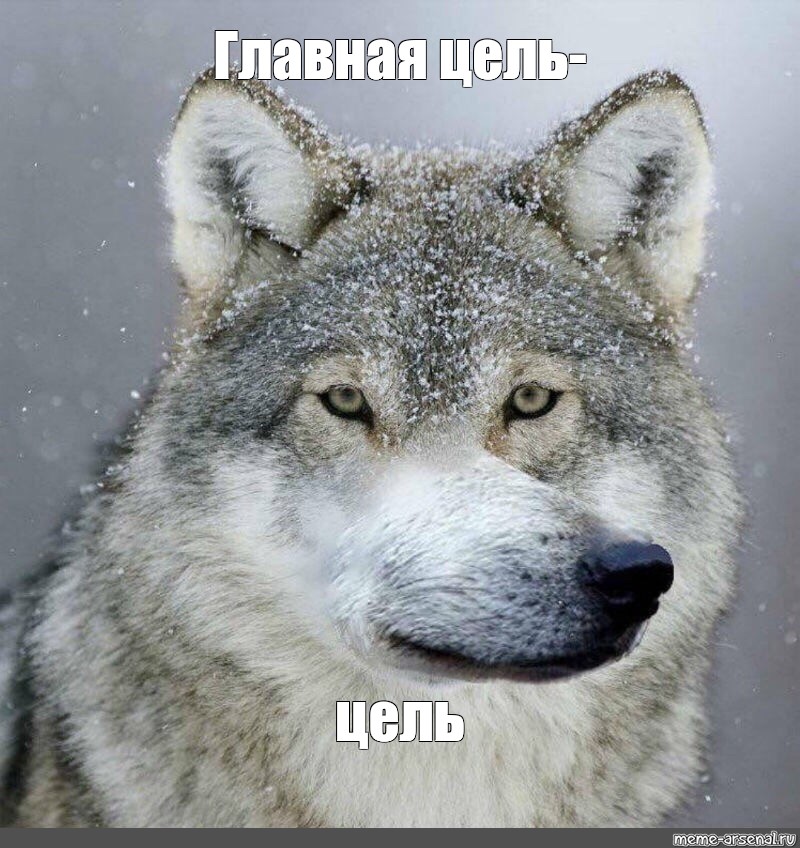 Вопросы собственнику