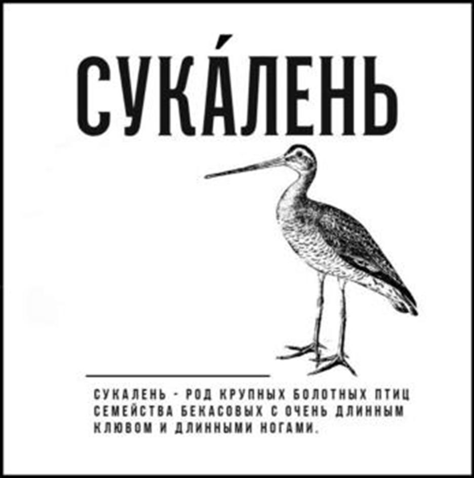 изображение из решения