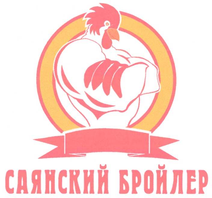 изображение из решения ППС