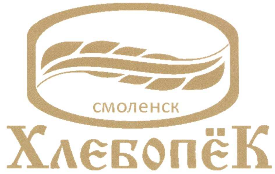 изображение из решения ППС