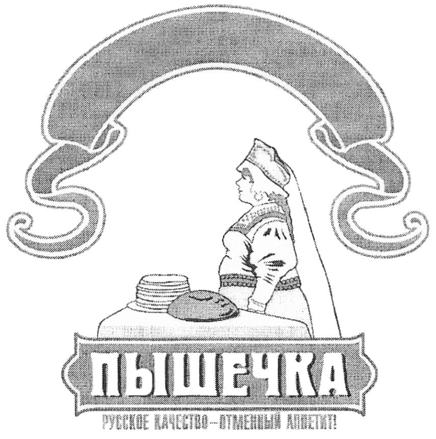 изображение из решения ППС