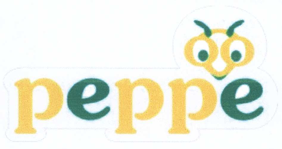 изображение из решения ППС