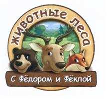 изображение из решения ППС