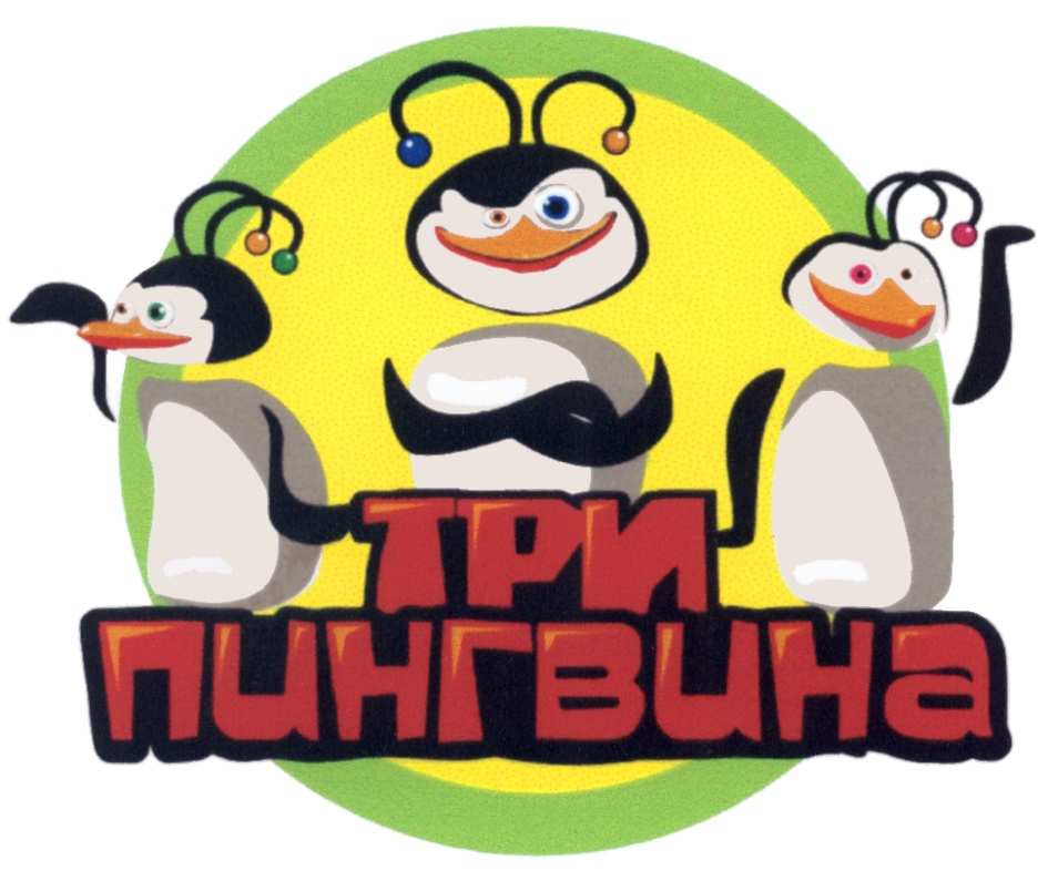 изображение из решения ППС