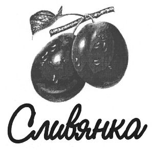 изображение из решения