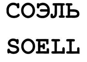 изображение из решения ППС