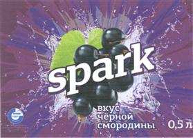 изображение из решения ППС