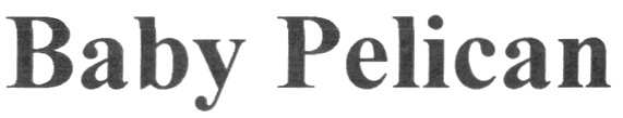 изображение из решения ППС