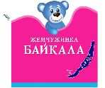 изображение из решения ППС