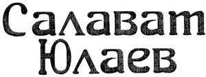 изображение из решения ППС