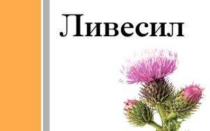 изображение из решения ППС