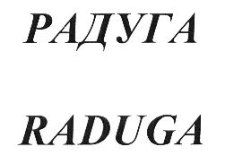 изображение из решения ППС