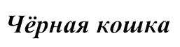 изображение из решения ППС