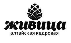 изображение из решения