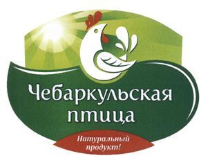 изображение из решения ППС