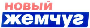 изображение из решения ППС