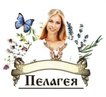 изображение из решения