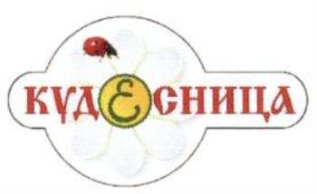 изображение из решения ППС