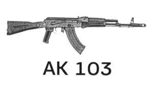 изображение из решения ППС