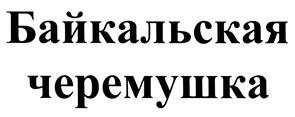 изображение из решения ППС