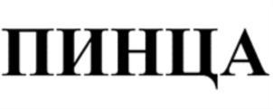 изображение из решения ППС