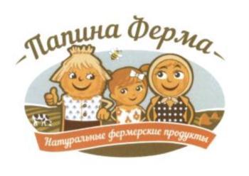 изображение из решения ППС