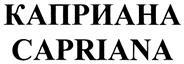 изображение из решения ППС