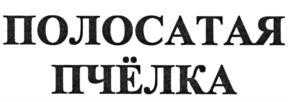 изображение из решения ППС