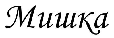 изображение из решения ППС