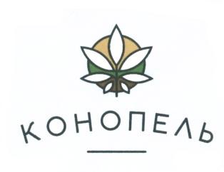 изображение из решения