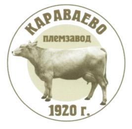 изображение из решения ППС