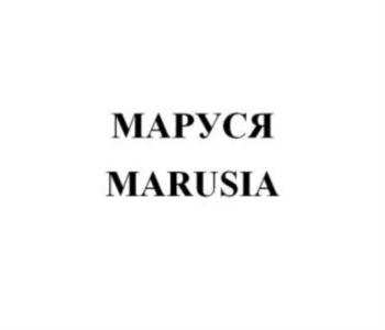 изображение из решения ППС
