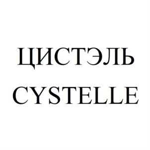 изображение из решения ППС