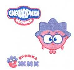 изображение из решения ППС