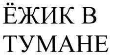 изображение из решения ППС