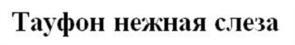 изображение из решения ППС